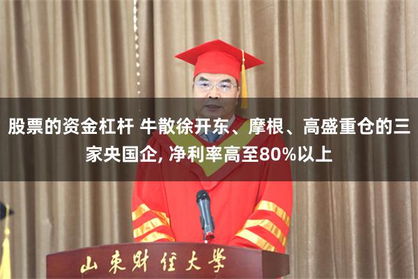 股票的资金杠杆 牛散徐开东、摩根、高盛重仓的三家央国企, 净利率高至80%以上