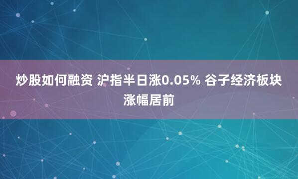 炒股如何融资 沪指半日涨0.05% 谷子经济板块涨幅居前