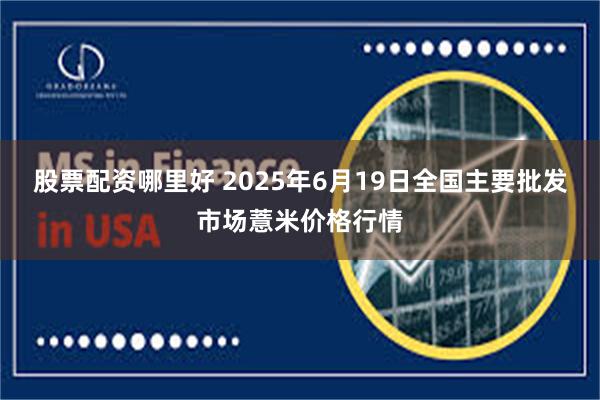 股票配资哪里好 2025年6月19日全国主要批发市场薏米价格行情