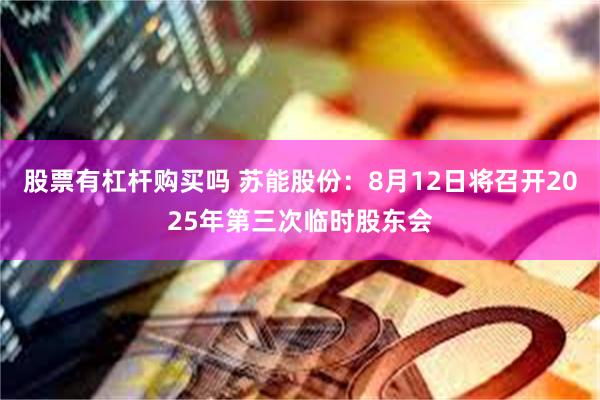 股票有杠杆购买吗 苏能股份：8月12日将召开2025年第三次临时股东会