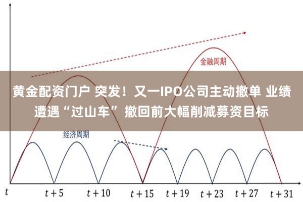 黄金配资门户 突发！又一IPO公司主动撤单 业绩遭遇“过山车” 撤回前大幅削减募资目标